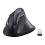 Mysz pionowa UGREEN MU008 BT 2.4G (czarna)